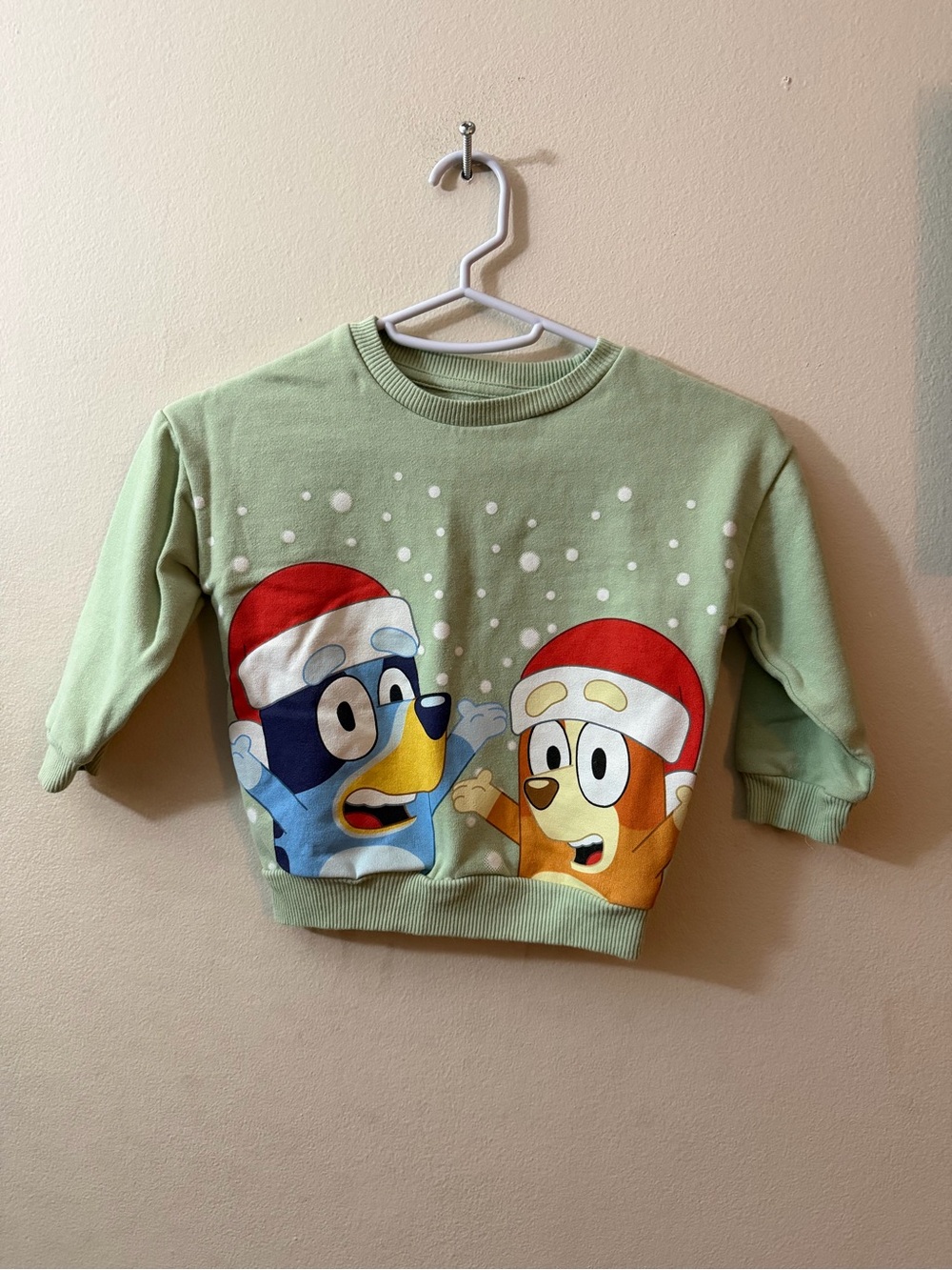 Kids Holiday Bluey Sweatshirt - Light Green